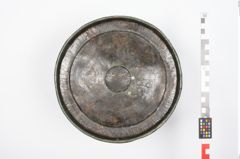 Foto von Bronzerippenziste (NHMW-PRAE-025462)